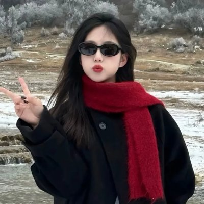 法证先锋5国语